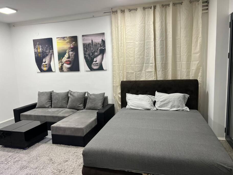 Appartamento Dorcol Lux Studio Belgrado Esterno foto