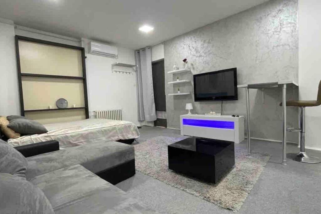 Appartamento Dorcol Lux Studio Belgrado Esterno foto