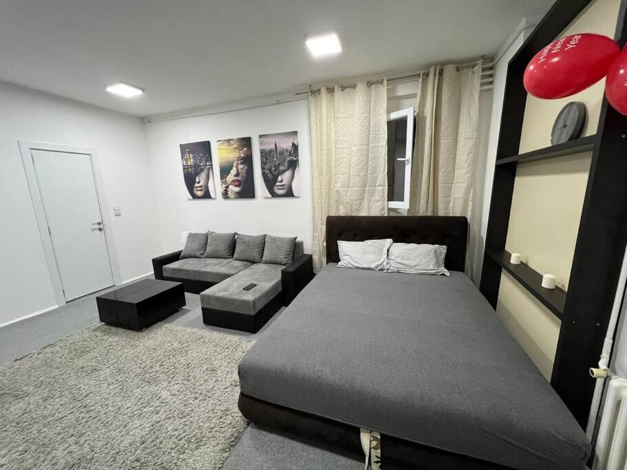 Appartamento Dorcol Lux Studio Belgrado Esterno foto